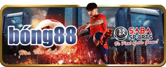 Hoàn Trả Thể Thao Hàng Ngày